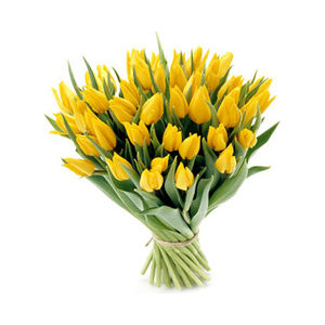 bukiety - tulipany34.jpg