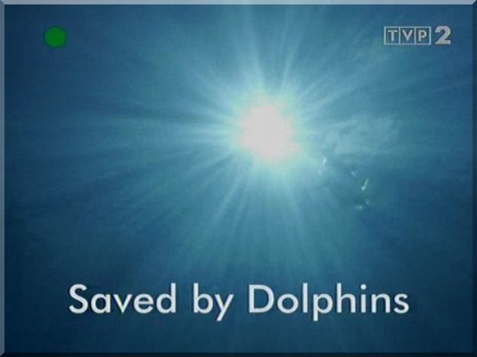 Zagraniczne - Animal.Planet.Saved.by.dolphins.2008.Ocaleni.przez.delfiny.TVP2.RiP.MaKaRoN.Title.jpg