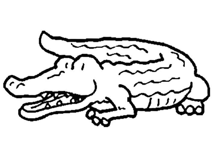 Aligator - aligator - 18.bmp