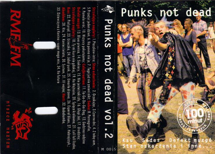 Punks Not Dead Vol.2 - Punks Not Dead Vol.2 Przód.JPG
