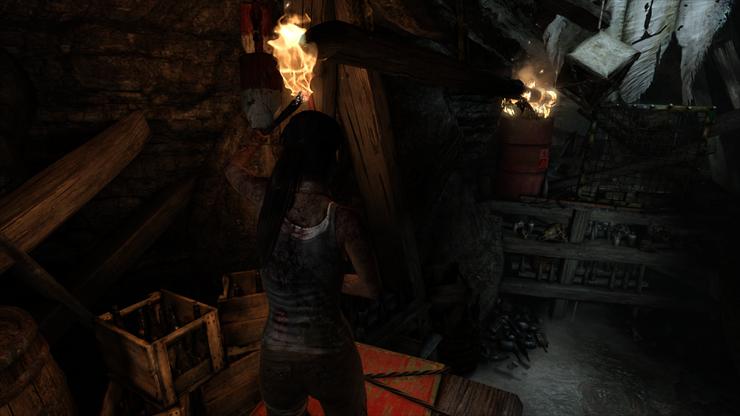 TOMB RAIDER 2013 PL PC - TombRaider 2013-03-04 17-12-01-20.png