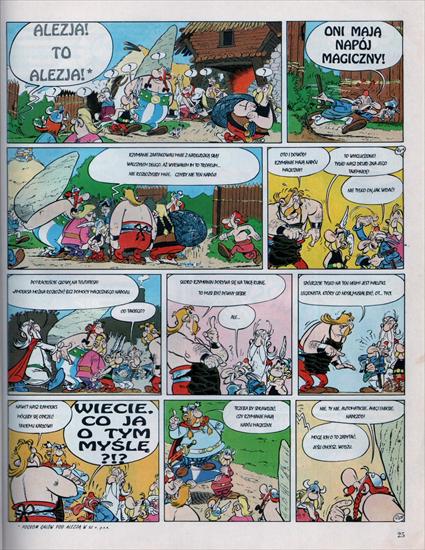 ASTERIX2 - Image0063 1858x2400.jpg