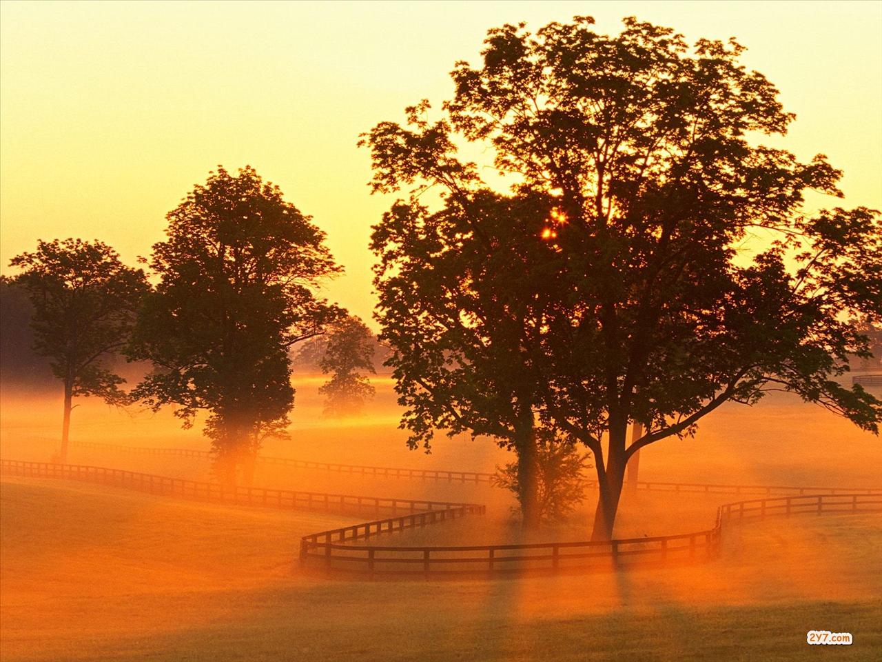 Zachod slonca - Horse Farm Sunrise, Versailles, Kentucky - 1600x1.jpg