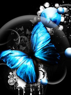 TAPETY 240x320 - Blue_Butterfly_2.jpg