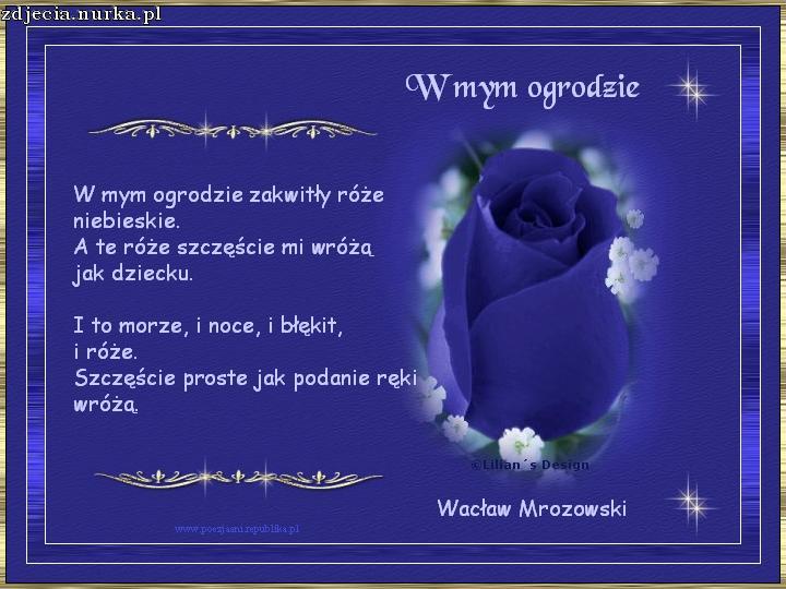 kartki na rozne okazje - www.toya.net.pl-ania13-ulubione-m-wmymogrodzie1.jpg