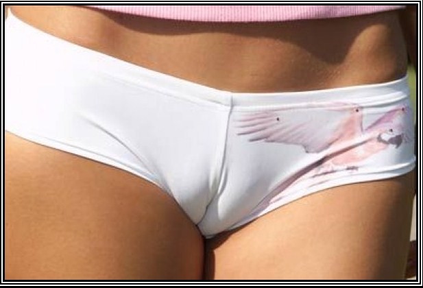 CAMEL TOE - cameltoe.jpg