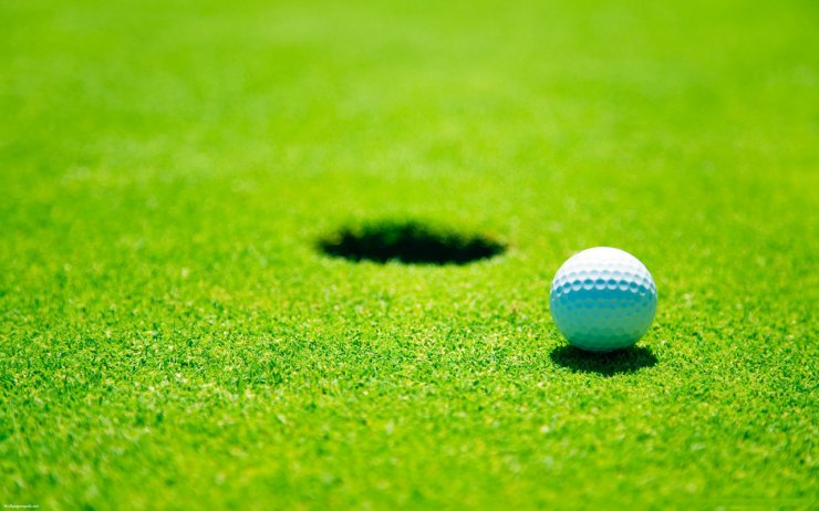 TRAWA I LIŚCIE - trawnik piłka golfowa.jpg