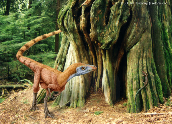  Prehistoria - ig59_Sinosauropteryx_02.jpg