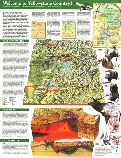 Mapy National Geographic. 539 map. Wysoka jakość - USA - Yellowstone and Grand Teton 2 1989.jpg