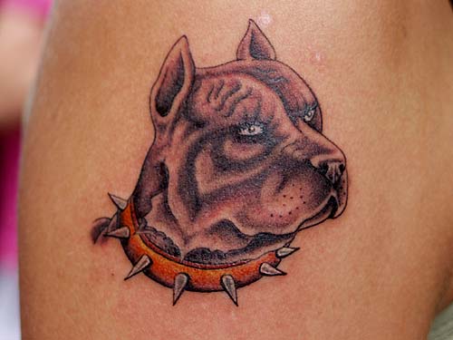 TATOO - w14.jpg