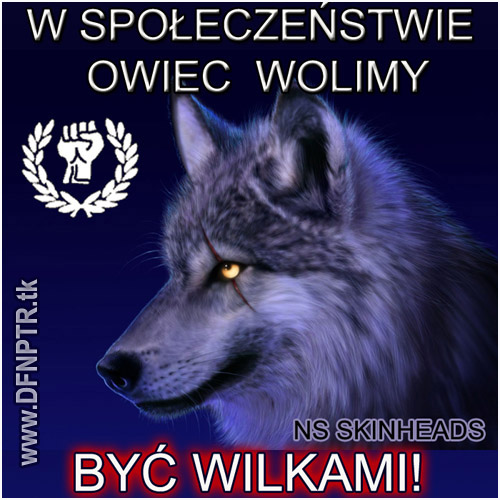 wilki - WILCY.jpg
