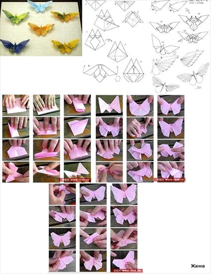 origami - motyl_origami_papir.jpg