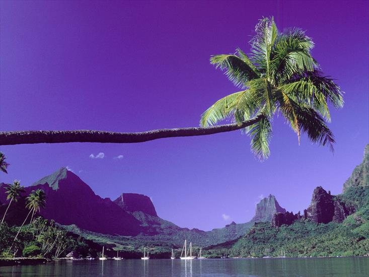 zachomikowane - The Big Stretch, Tahiti1.jpg