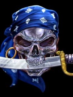tapety na komorke czaszki 240x320 - pirate_skull.jpg