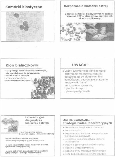 hematologia - str 10.jpg