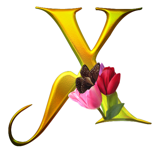 1 - X_tulip_set2.png