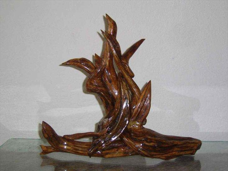 Rzeźby z korzeni - korzen6-szczawnica-duze.JPG