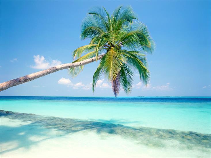  Plaże - Tropical Island, Maldives - 1600x1200 - ID 32890.jpg