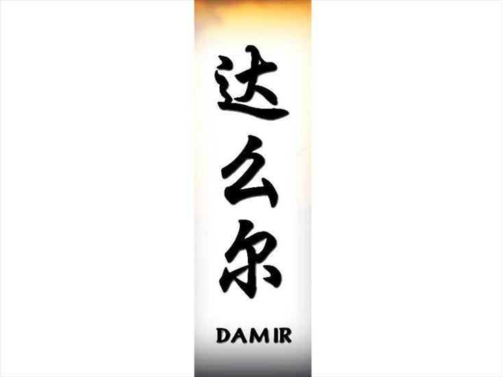 D - damir800.jpg