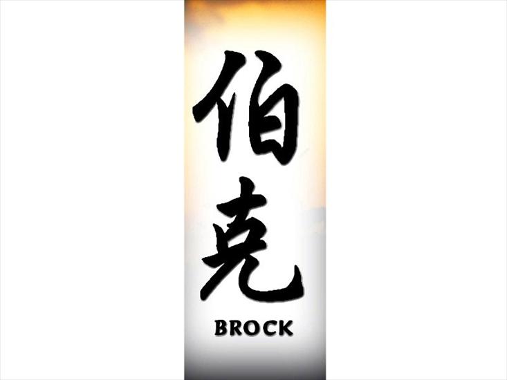 B - brock800.jpg