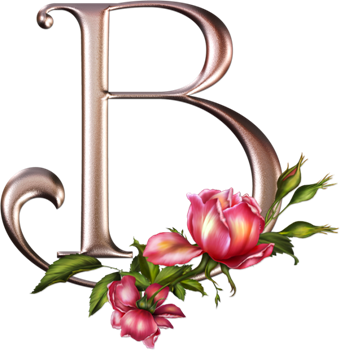 Literki z piękna różą - B.png