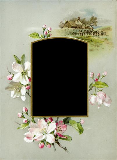 kwiaty - Floral_Frame_No3_by_DustyOldStock.png