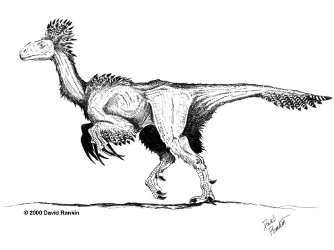 t - copyrightTherazinosaur2.jpg