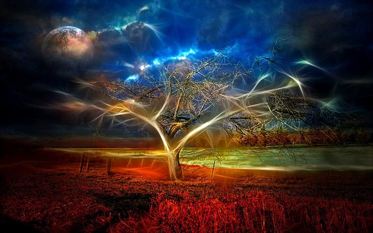 drzewa-natura - Light00.jpg