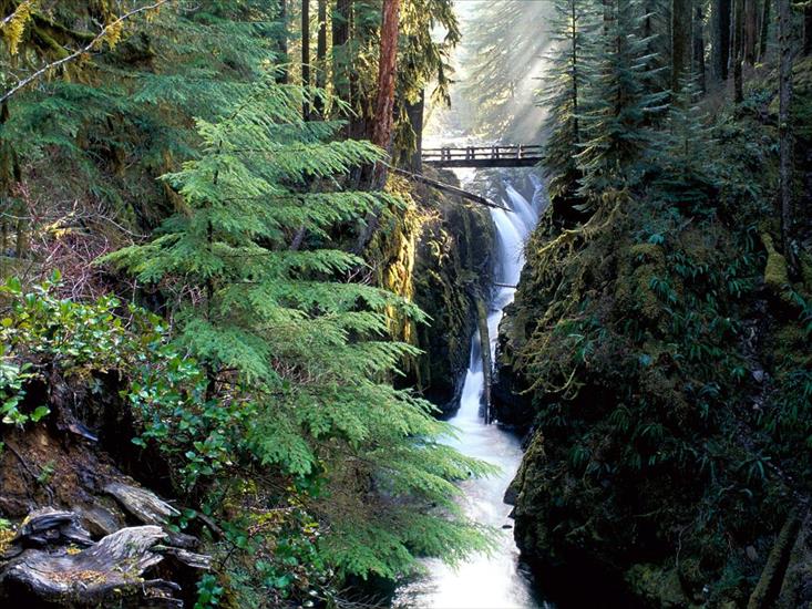 Wallpapers Forests - Bridge Over Sol Duc Falls, Olympic National Park.jpg