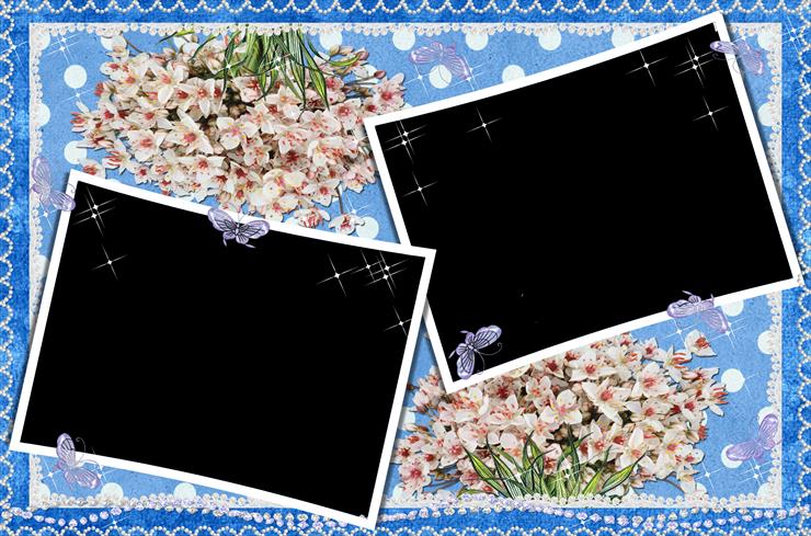 ramki z kwiatami - Ramki rózne f4 16.png