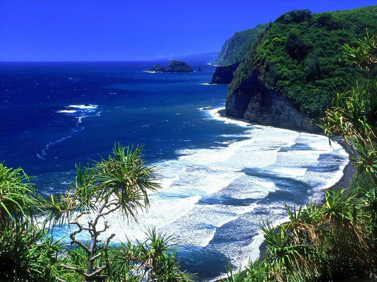 Widoki egzotyczne - Pololu_Valley_Beach,_Hawaii.jpg