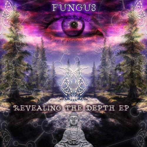 Fungus - Revealing The Depth 2014 - Folder.jpg