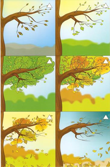 Historyjki obrazkowe 6-elementowe annmari1 - Drzewo.jpg