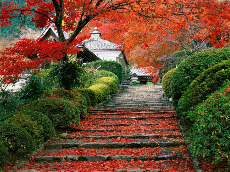 Ogrody - Kyoto_18_Garden Staircase.bmp