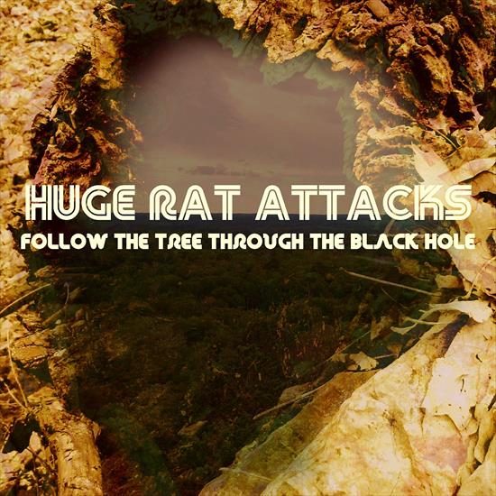 2016 - Follow the Tree Through the Black Hole - cover.jpg
