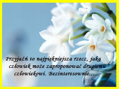 DLA PRZYJACIELA - flowers2.JPG