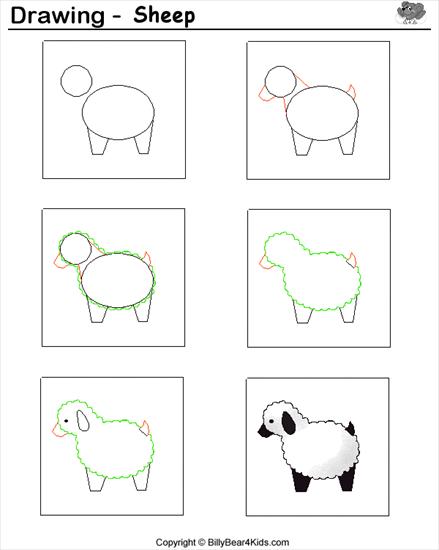 Nauka rysowania - sheep.gif