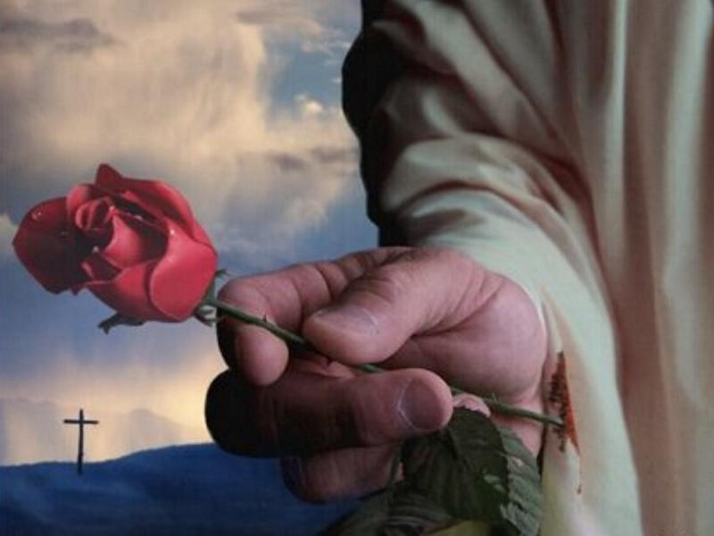 OBRAZKI  ŚWIĘTE - The Rose .jpg