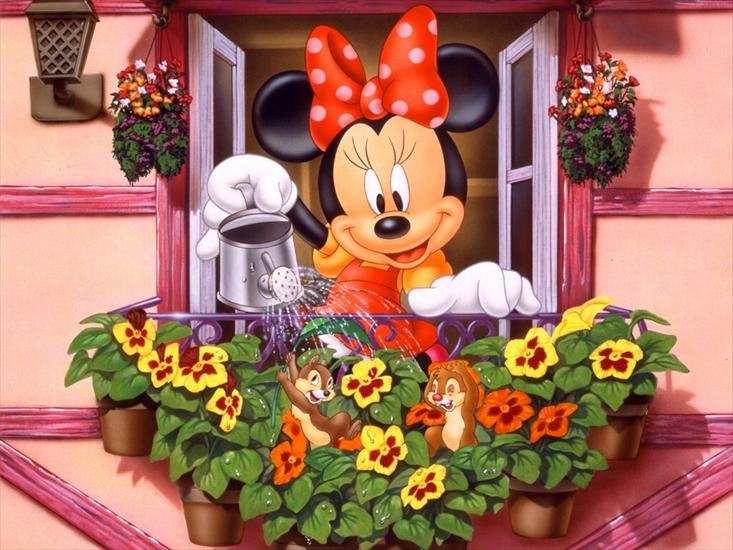 Tapety Micky Mouse - 3m.jpg