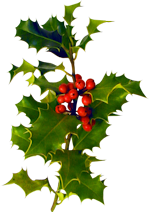 zestaw - holly2.png