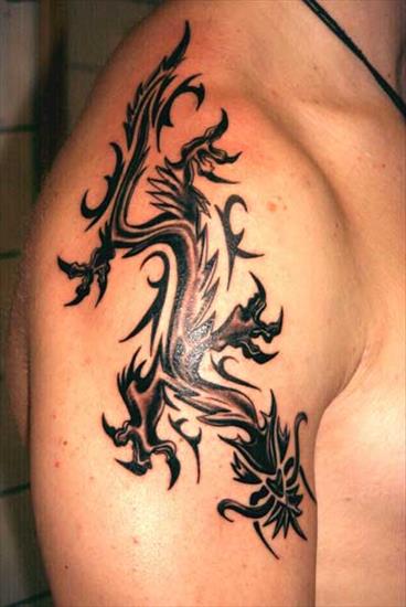 Tatoo - drache_sw_oberarm.jpg