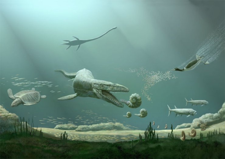  Prehistoria - Karen_Carr_Cretaceous_Marine_Environment.jpg