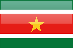 FLAGI 2 - Suriname.png