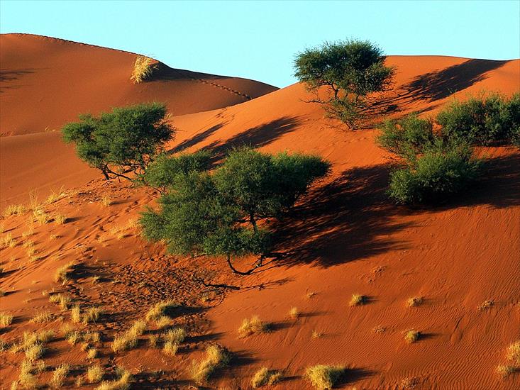 Namibia - namib2_1600.jpg