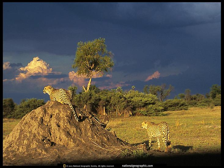 National Geographic - NGM_12_1999_10.jpg
