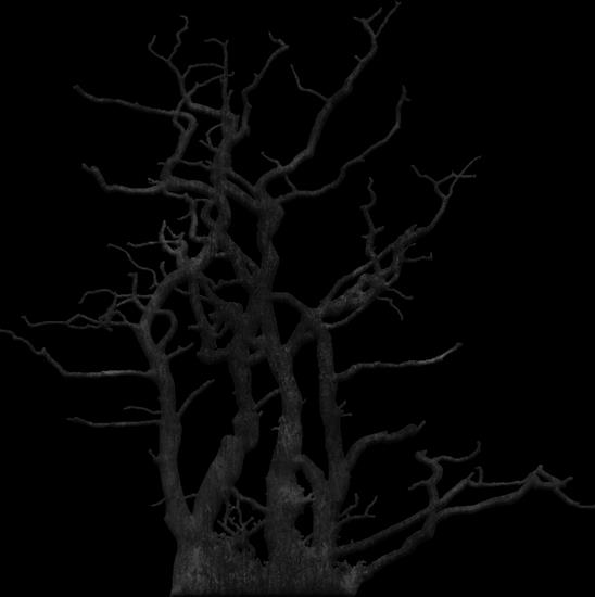 drzewa - DTs2_1c.png