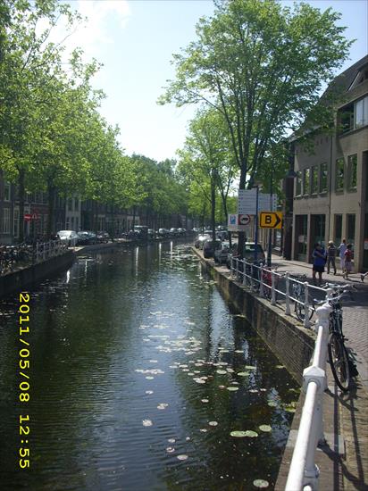 AMSTERDAM 2011 - delft.JPG