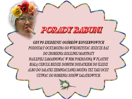  PORADY BABUNI  - PORADA BABUNI.png