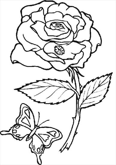 kolorowanki2 - kwiaty - róża i motyl.JPG