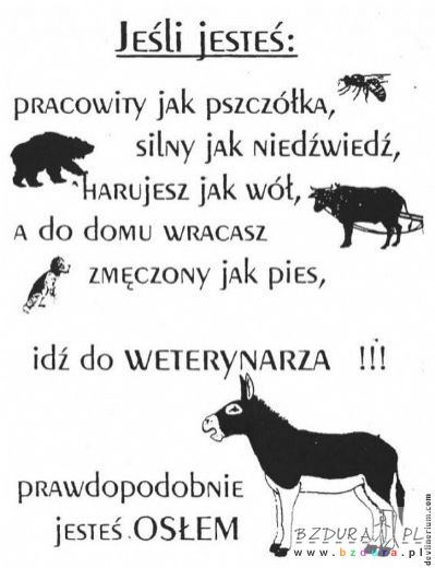 Zabawne - praca.jpg